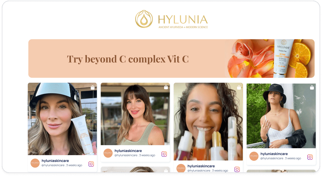 social media feed widget