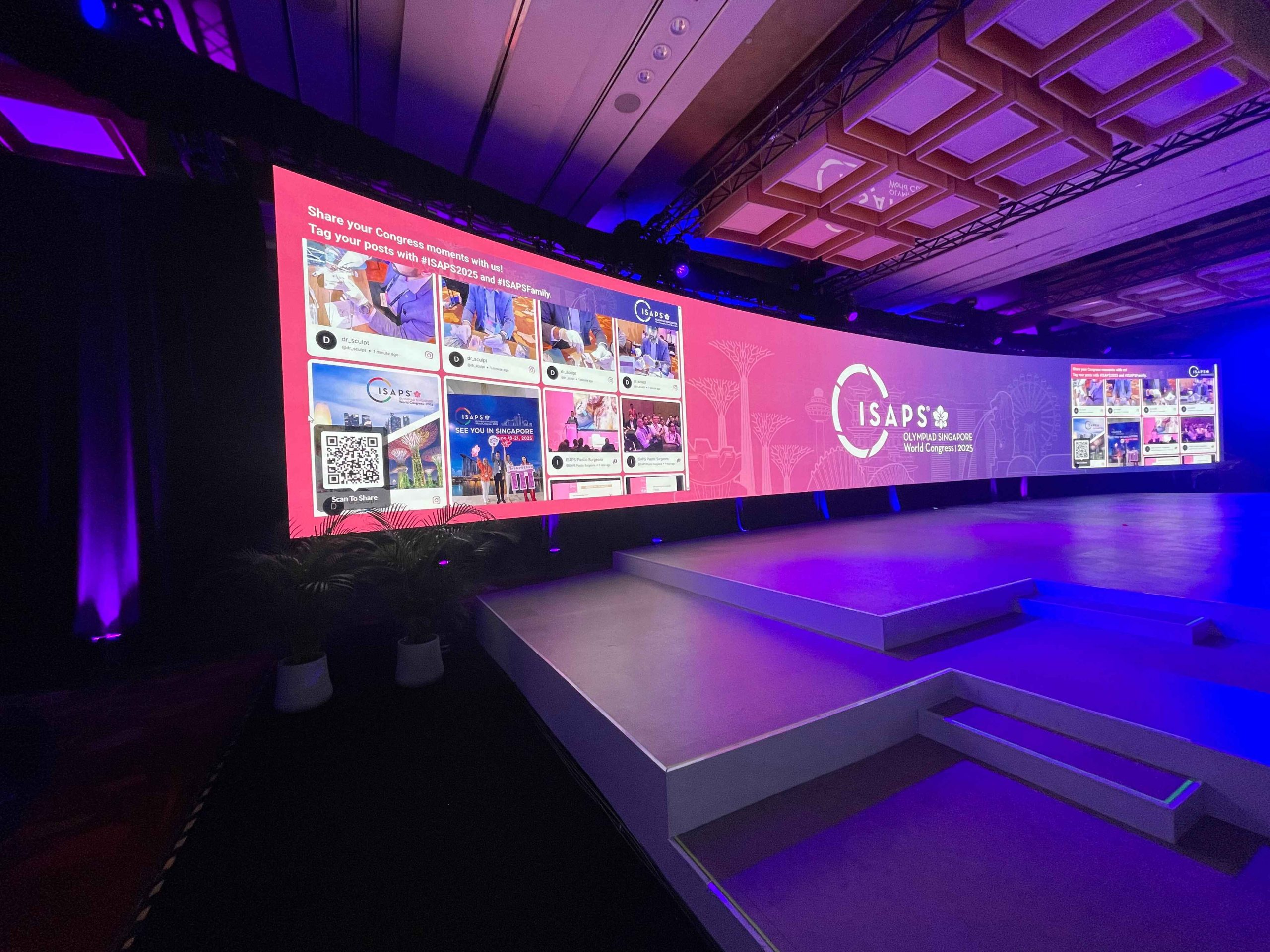 Social Media Display Widget