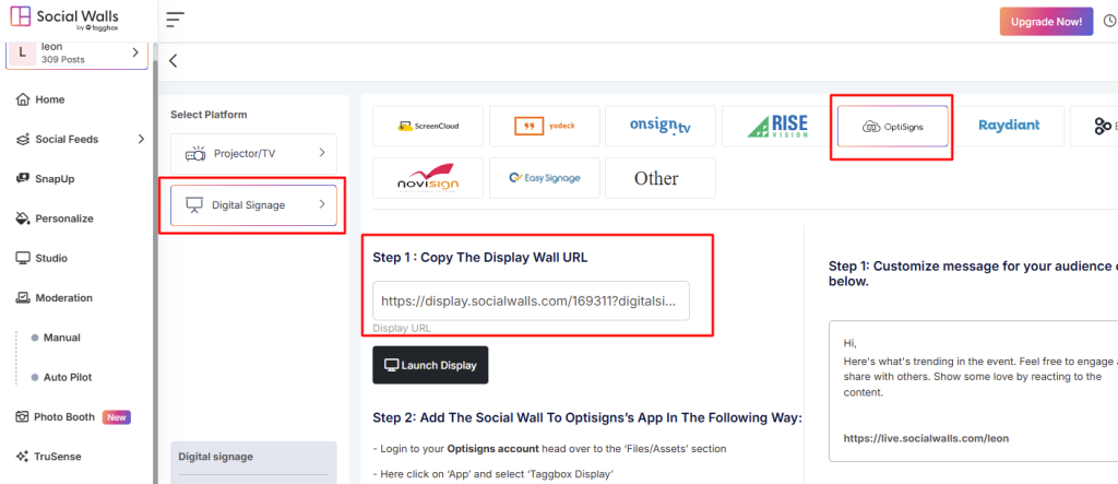 social wall display url  for optisigns
